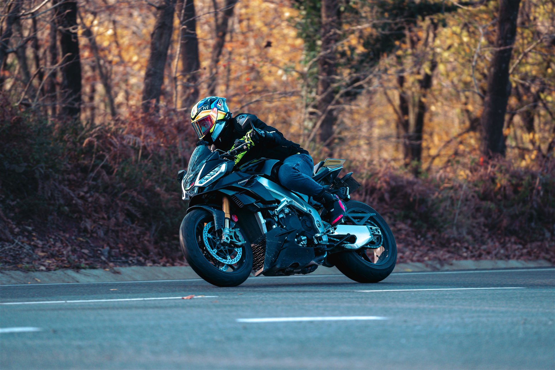 Pilihan motor SEWAMOTOR